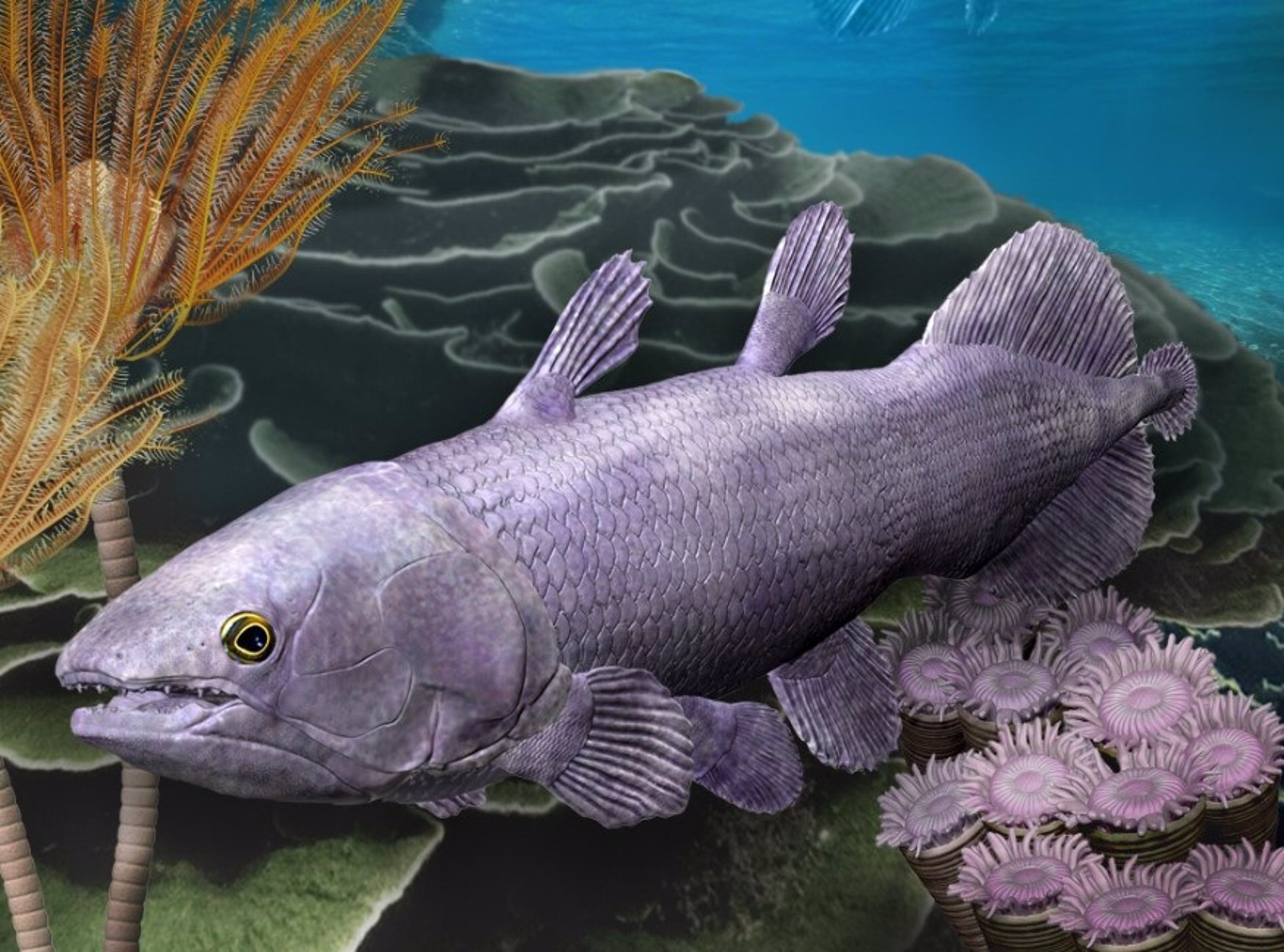 Nuevo pez fósil amplia la evidencia de la marcha evolutiva de la Tierra - Infobae