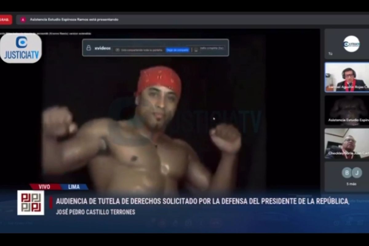 Ricardo Milo Xxx - Video de Ricardo Milos aparece en audiencia virtual de tutela de derecho de  Pedro Castillo - Infobae