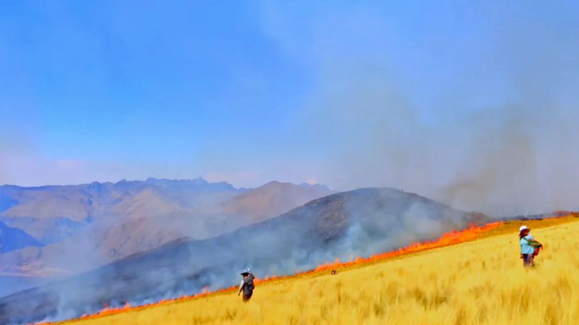 Incendio en Parque de Reserva de Cusco (Municipalidad de Pomacanchi)