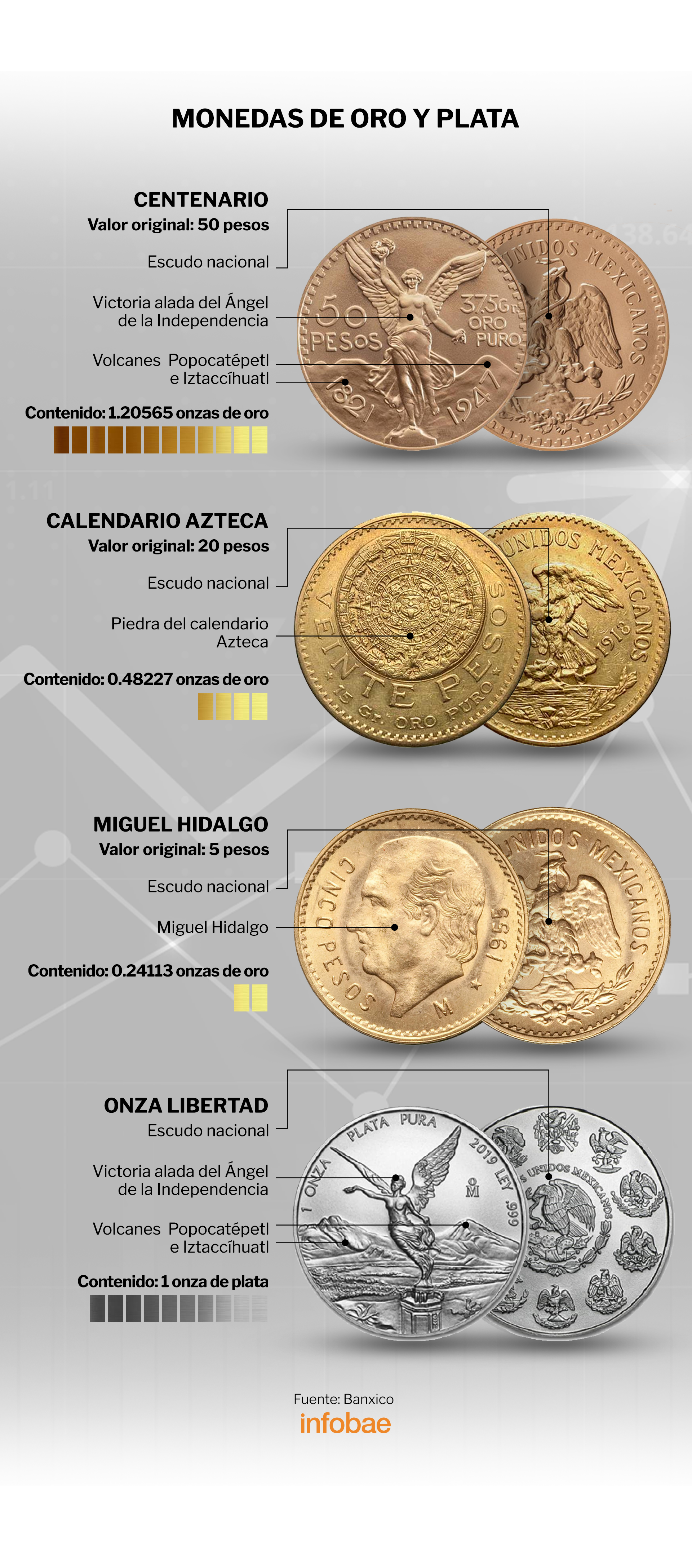 Las principales monedas de oro y plata (Infobae)