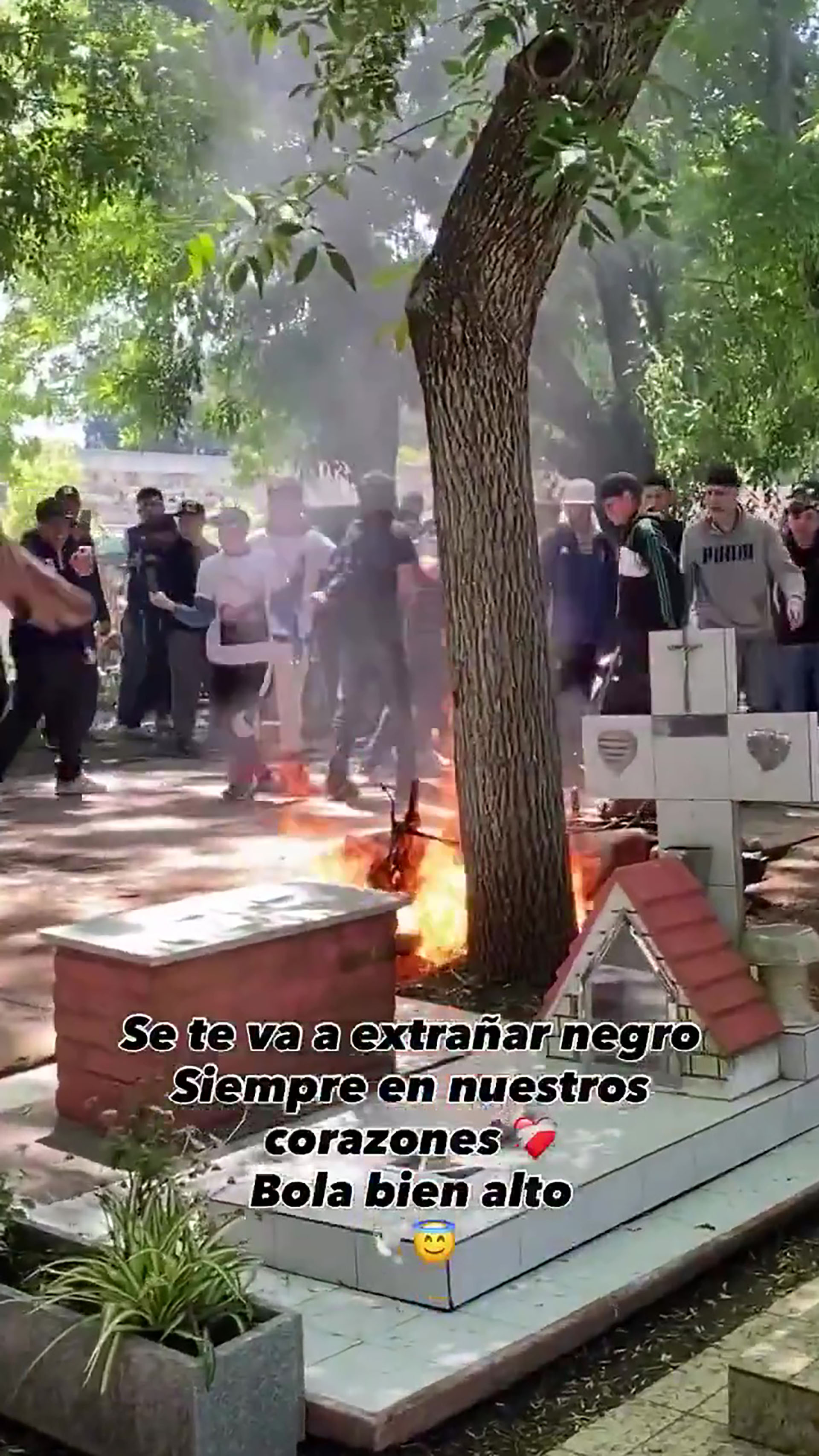 “Estoy realmente orgulloso”: el emotivo respaldo de James Vowles a Franco Colapinto tras la renovación con Alpine