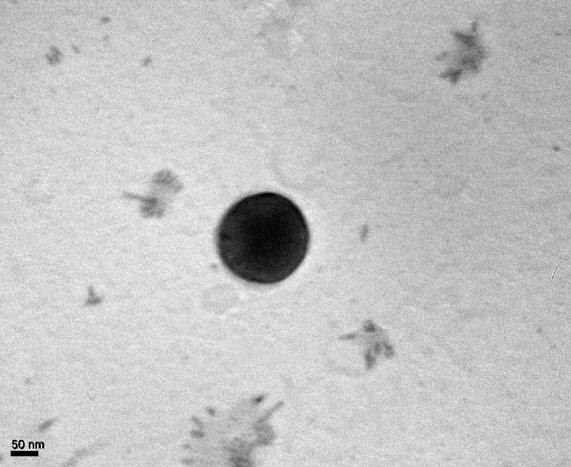 La foto que hace referencia el investigador Docena que muestra que la nanopartícula "es una esfera perfecta, con un cierto tamaño y funciona como una esponja"  (Foto: Digital Micrograph, Gatan Inc.)