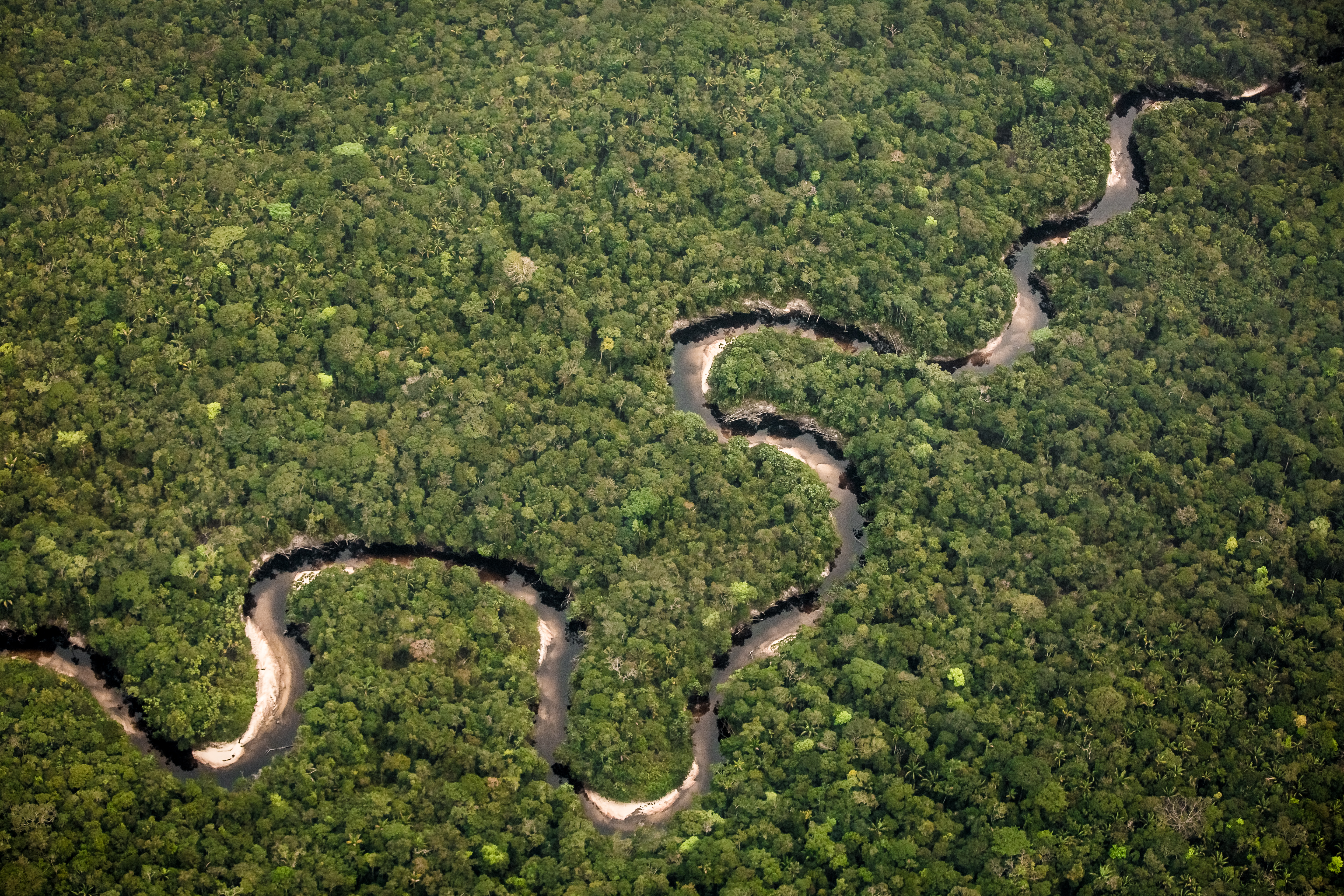 Aprobación histórica de capital para áreas protegidas en Colombia, informa la WWF