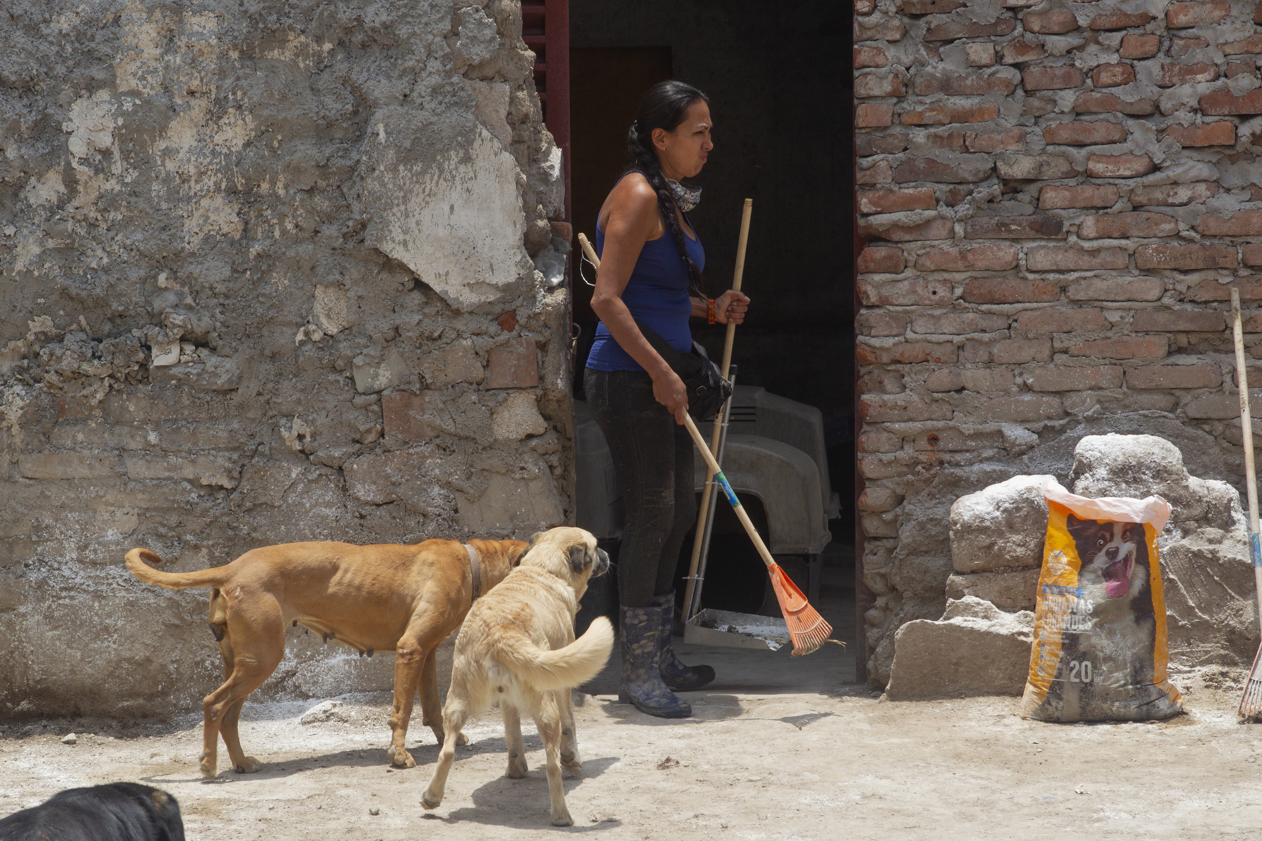 Dinah junto a sus perros mientras hace limpieza en Adopta Amor, albergue dedicado al rescate de perros y gatos. Ciudad de México, mayo 28, 2021.Foto: Karina Hernández / Infobae