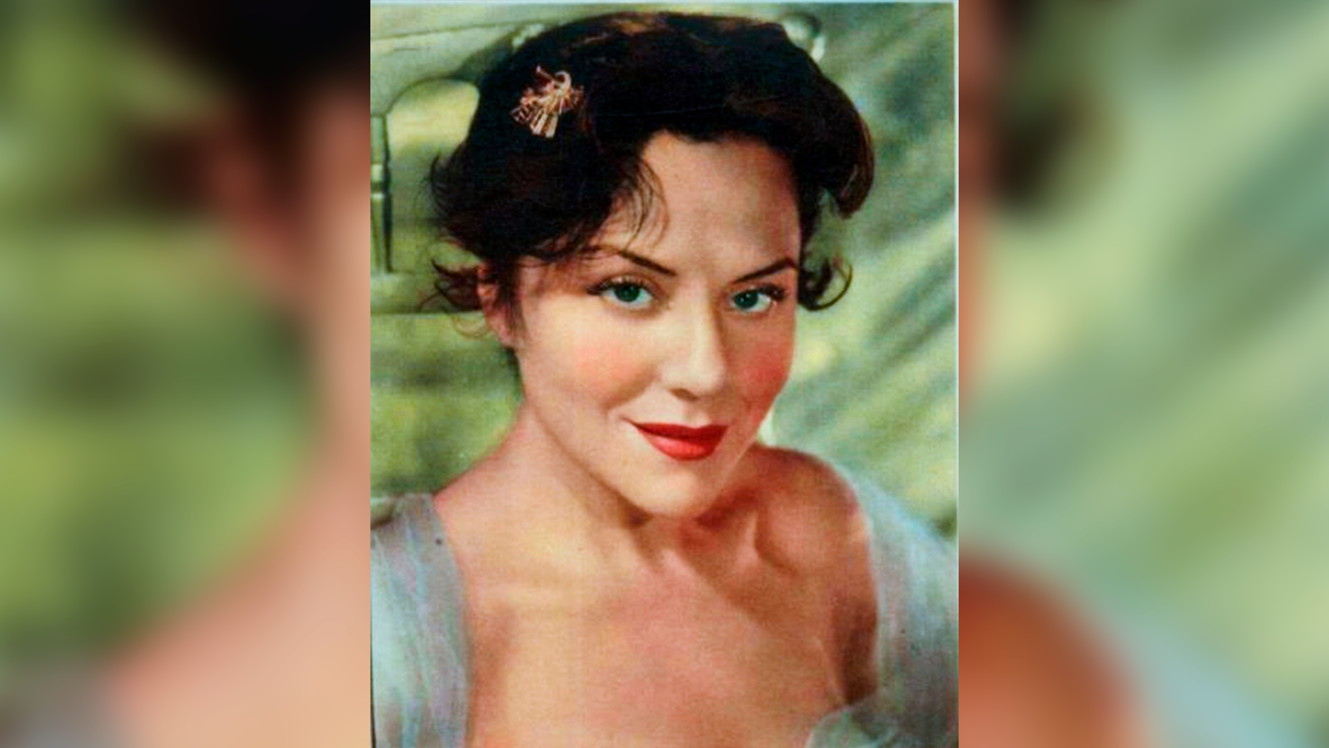 Quiénes son los senadores con mayor cantidad de empleados 