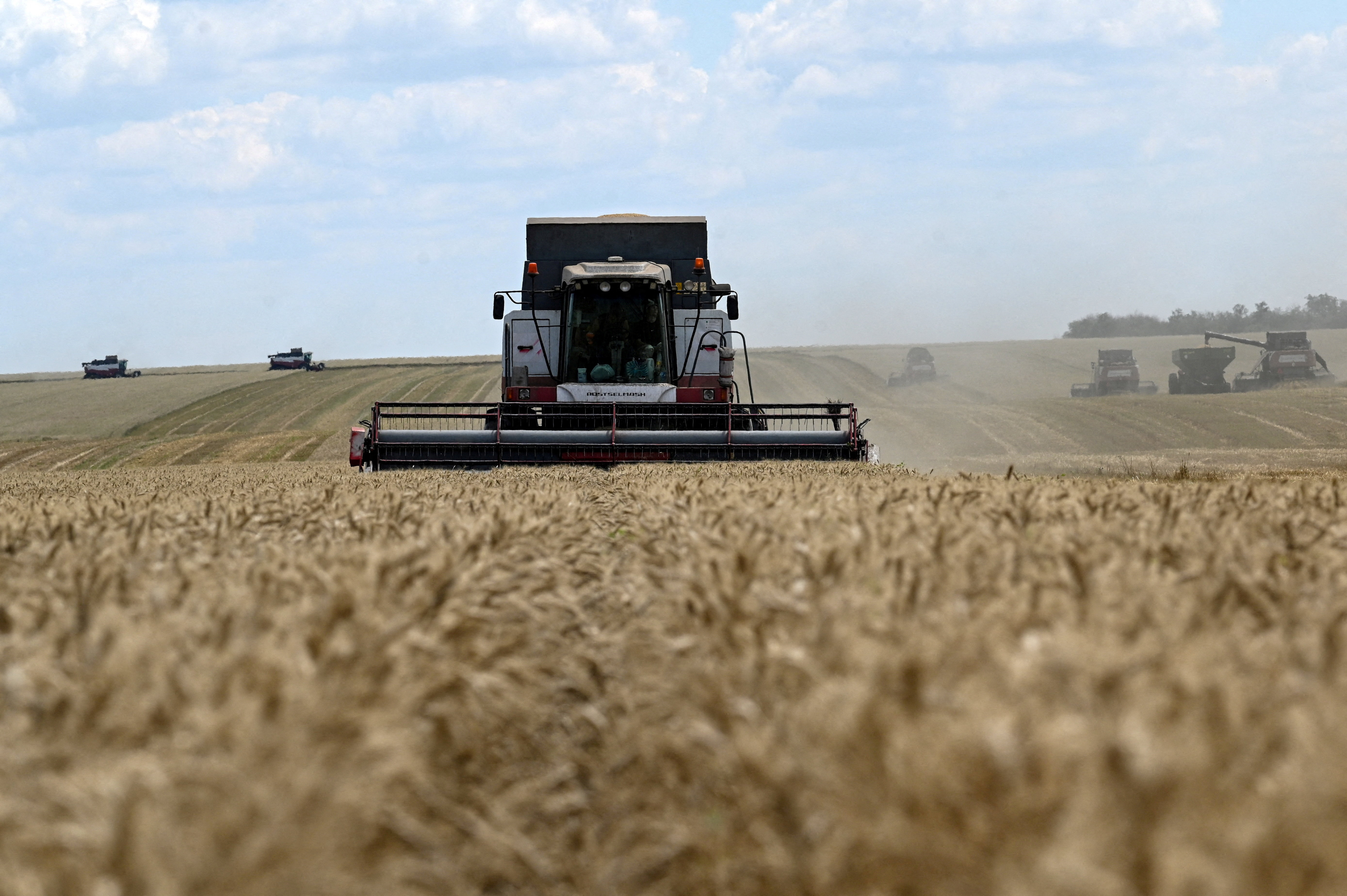 Se espera que el trigo aporte una lluvia récord de dólares: hasta cuánto podrían llegar las exportaciones el año próximo