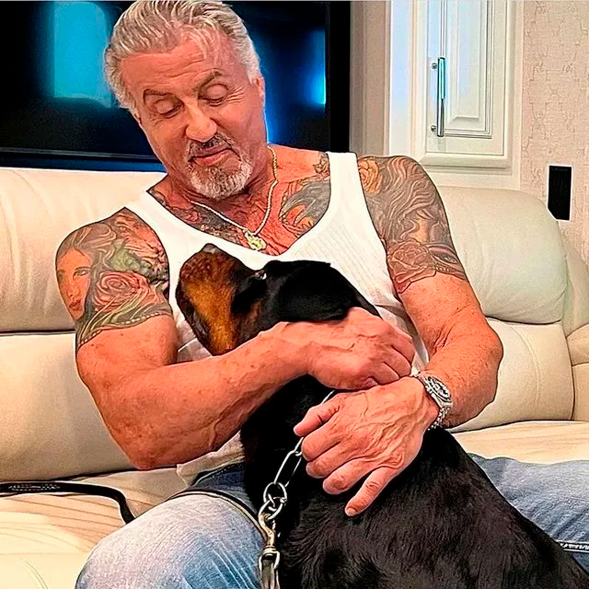 La imagen de Stallone con su nuevo perro Dwight, que quedó en medio de una pelea marital