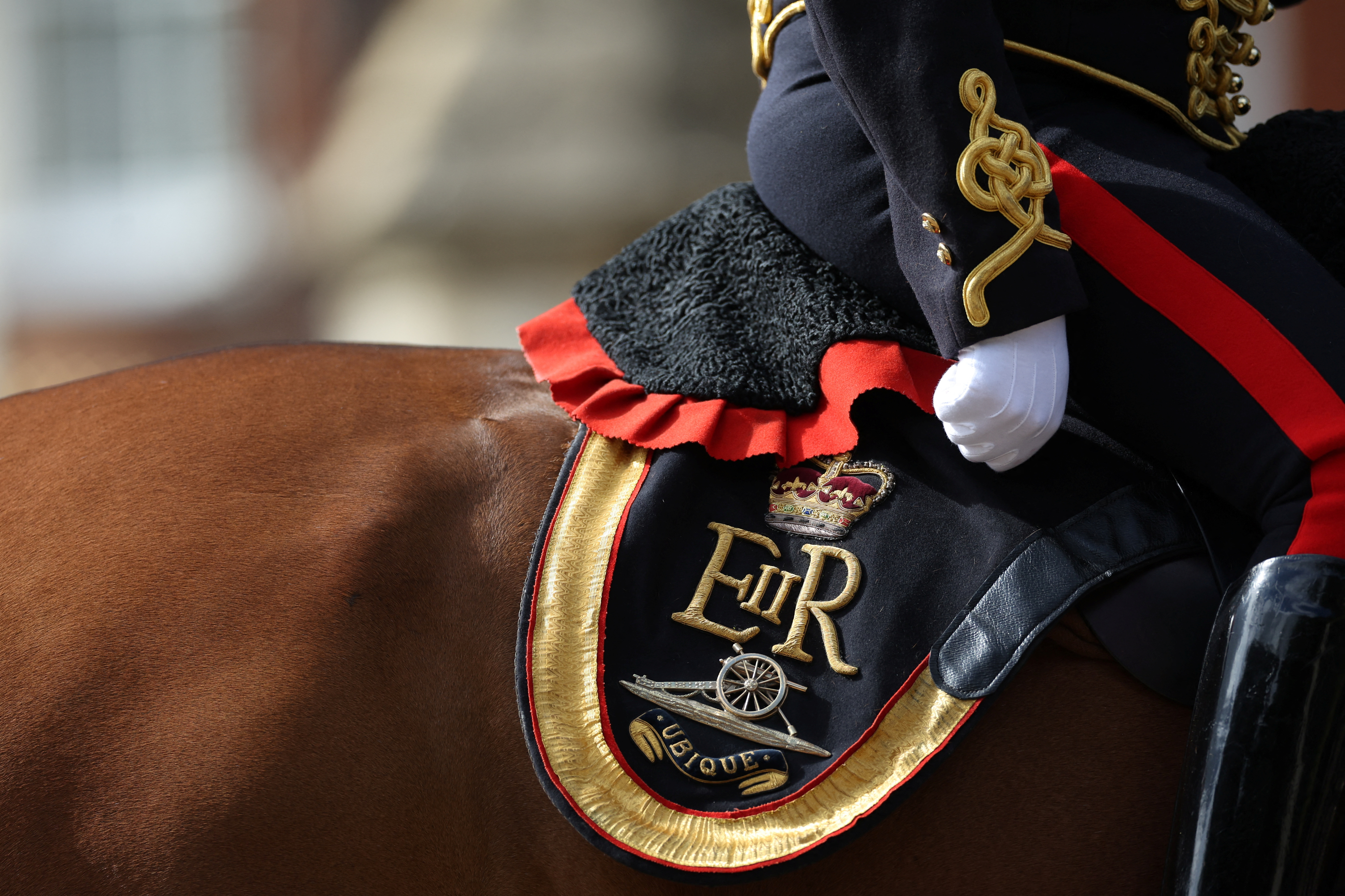 Una guardia real se sienta sobre un caballo con las iniciales de Isabel II Regina. 
