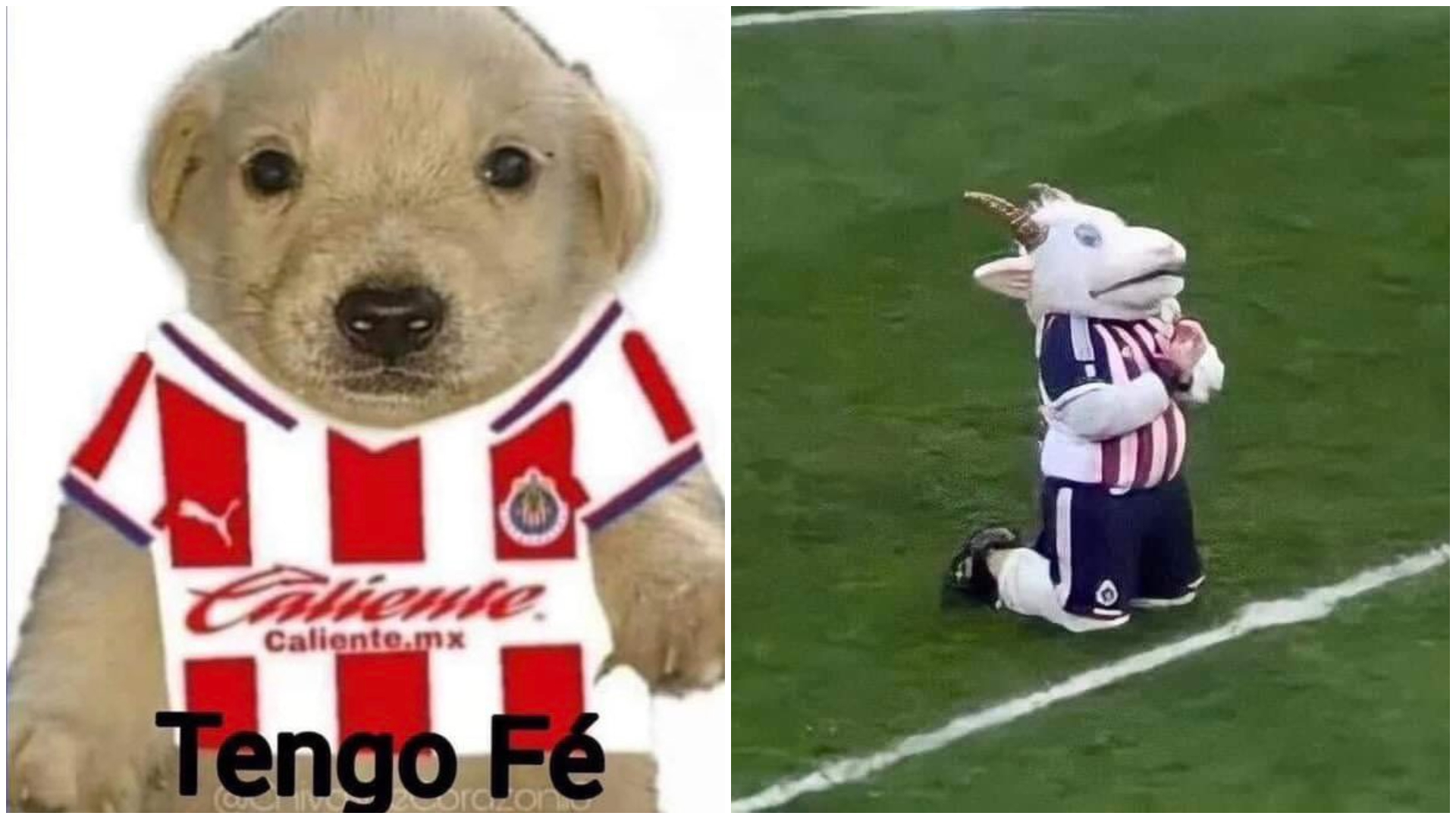 Chivas volvió a semifinales de la Liga MX tras casi tres años y se desataron los memes
