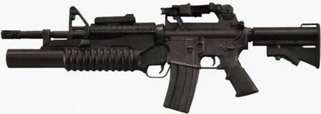 El M4 es usado por cuerpos de elite (Foto: Twitter@IowaBlake)