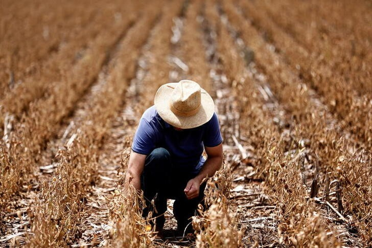 IMAGEN DE ARCHIVO. Anderson Soletti revisa su plantación de soja afectada por la sequía, en Espumoso, estado de Rio Grande do Sul, Brasil, 10 de enero de 2022. REUTERS/Diego Vara