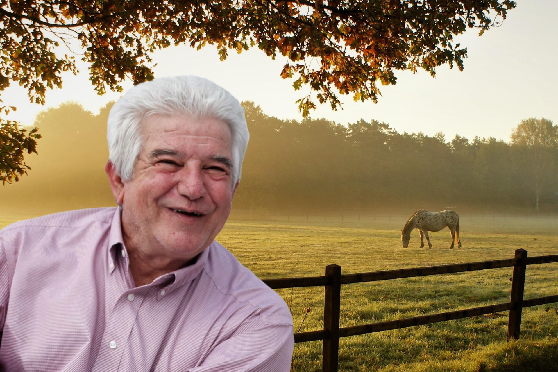 Crónica del escándalo de los 13 Ranchos de José Ramiro López Obrador,  hermano de AMLO – La Crónica de Hoy