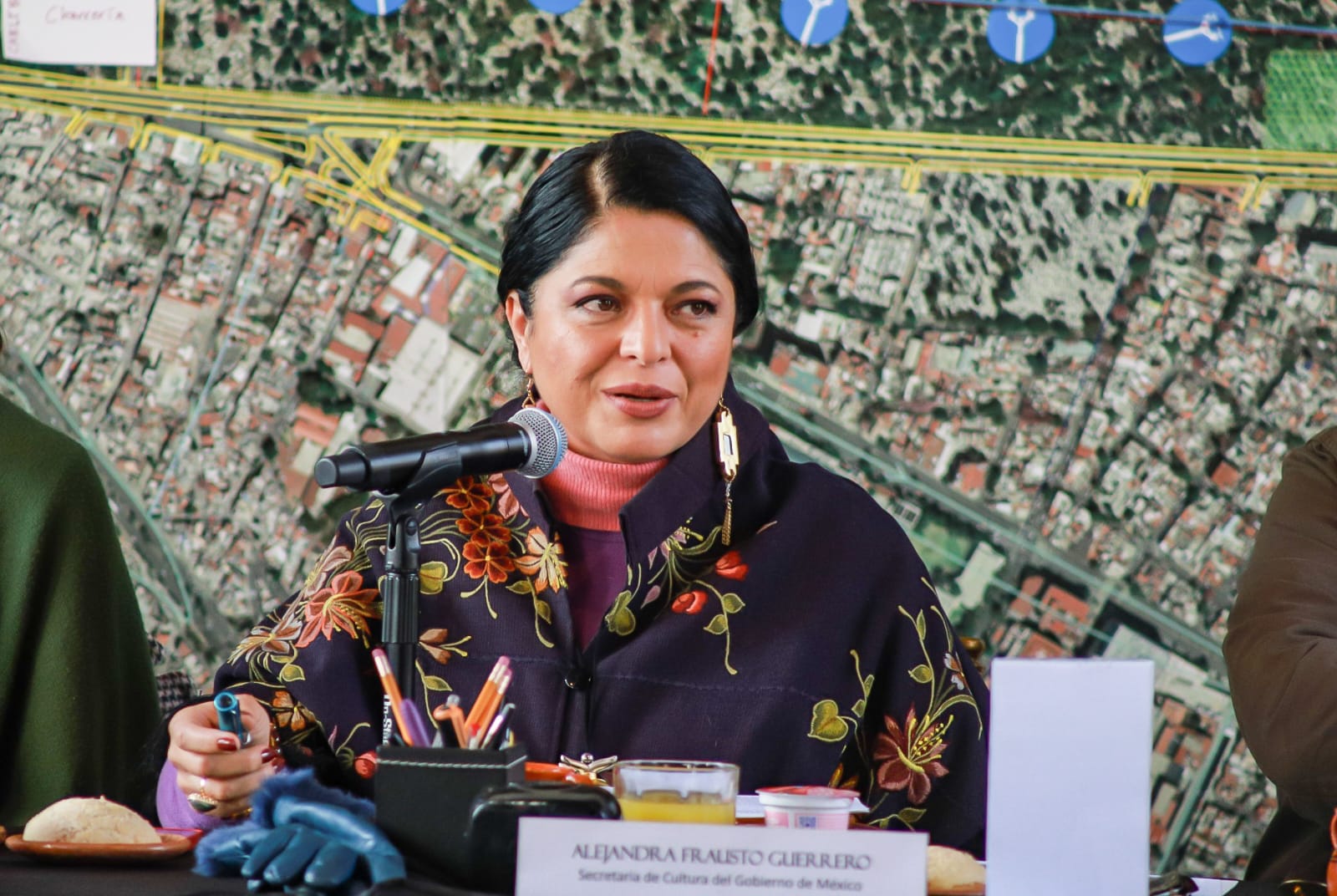 Alejandra Frausto Guerrero
