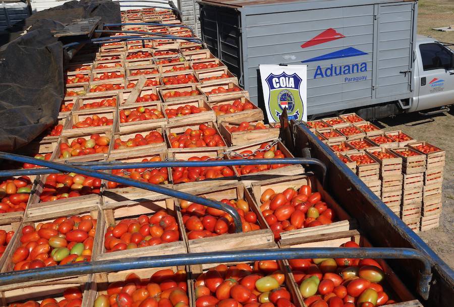 Productores frutihortícolas de Central se organizan como empresa de acciones simplificadas buscando proveer a «Hambre Cero»