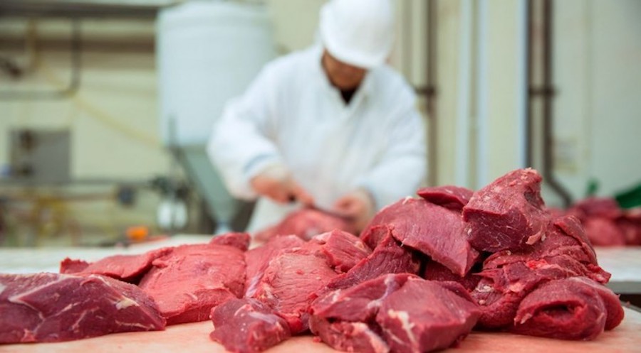 Exportación de la carne paraguaya apunta ahora al mercado mexicano