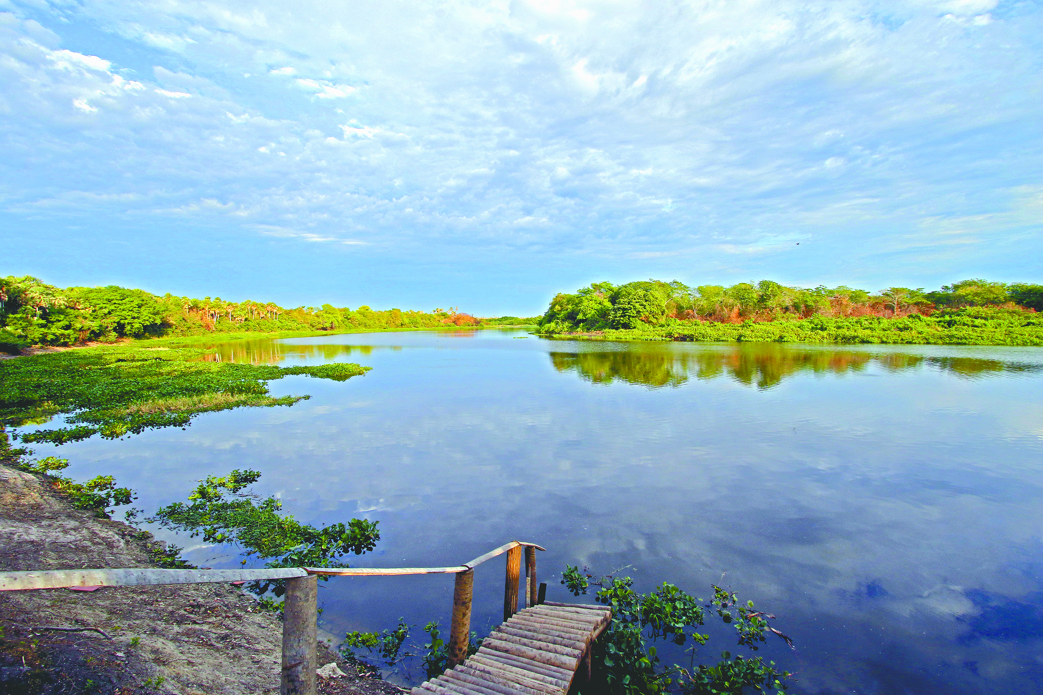 La Naci n Recorrer el grandioso Pantanal paraguayo ahora es