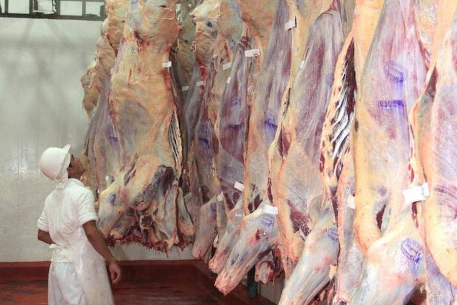 Carne paraguaya a Canadá: evalúan volumen y aranceles
