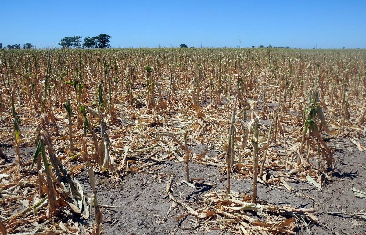 La Nación / “La Niña” ya está aquí y amenaza a Latinoamérica, advierten  expertos