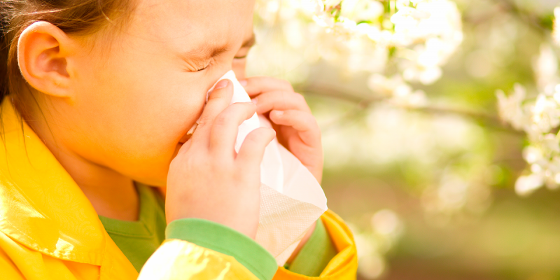 La Nación / “Alergias al cambio de clima o la humedad no existen” en  términos médicos, dice experto