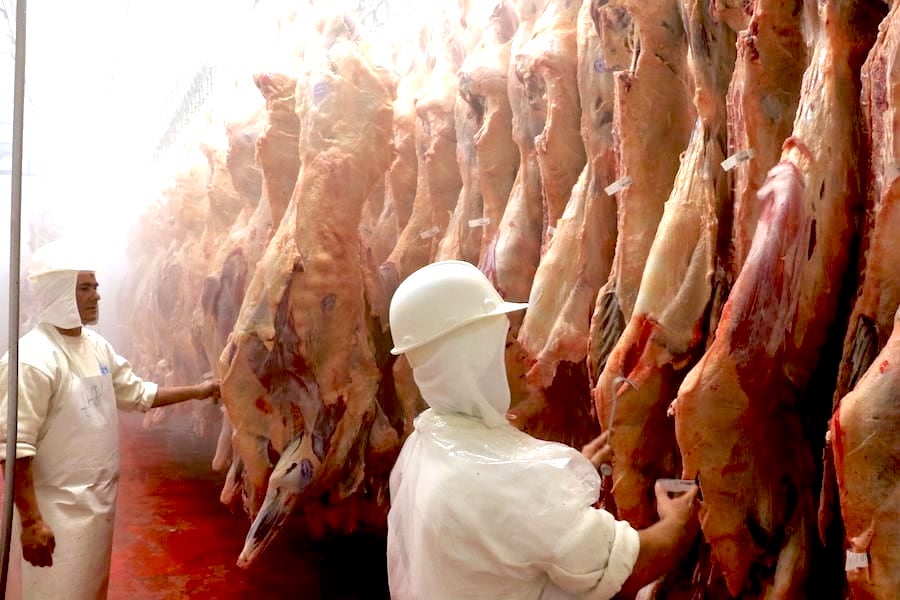Paraguay superará los USD 2.000 millones en exportación de carne bovina en 2025 con récord de faena de más de 2 millones de cabezas