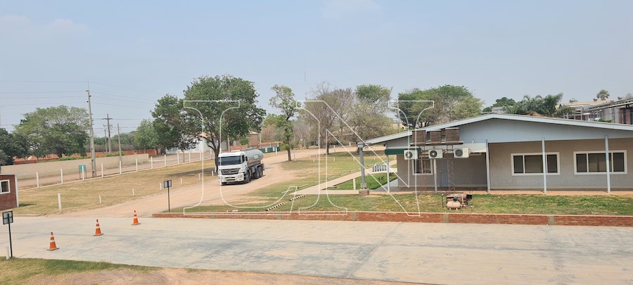 La Naci n Las colonias menonitas del Gran Chaco paraguayo abren