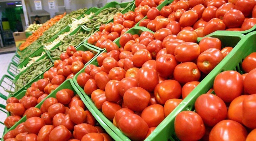 Producción del tomate repunta, pero el precio sigue alto en las góndolas