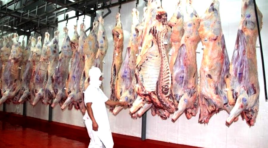 Israel habilita la importación de carne bovina paraguaya con hueso