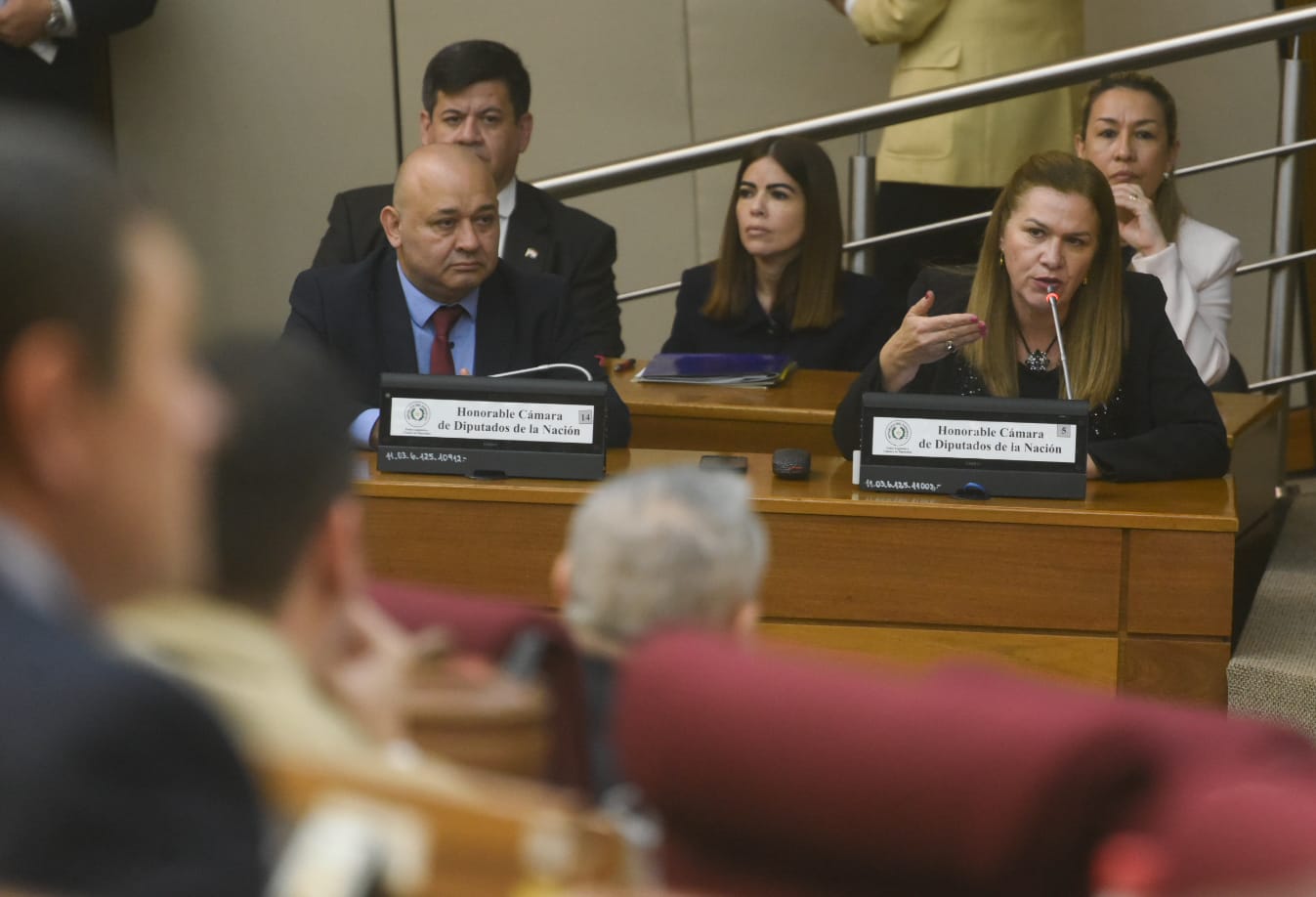 Ministra de Salud expone ante Diputados postura paraguaya contra la OMS