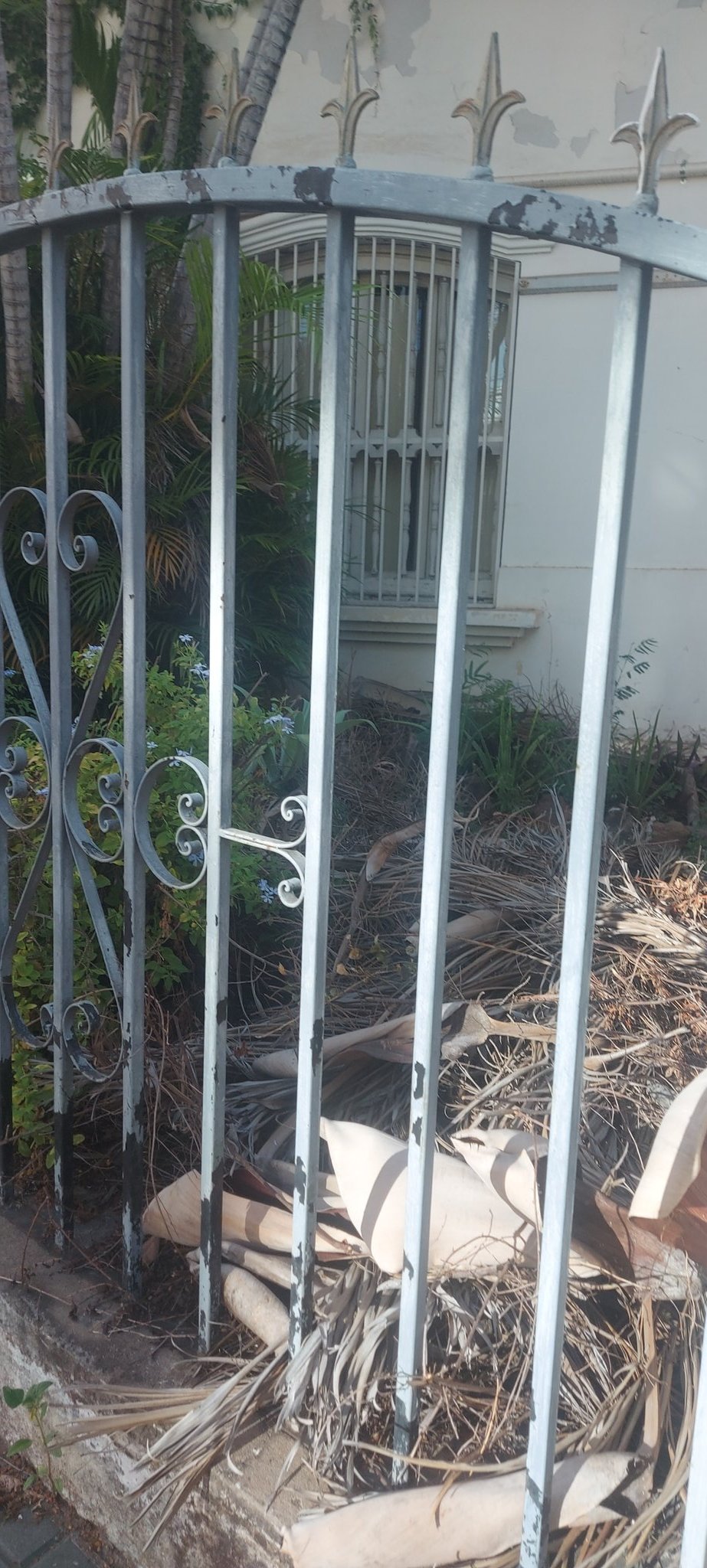 Fachada del local donde funcionaba el Centro de Adopciones.
