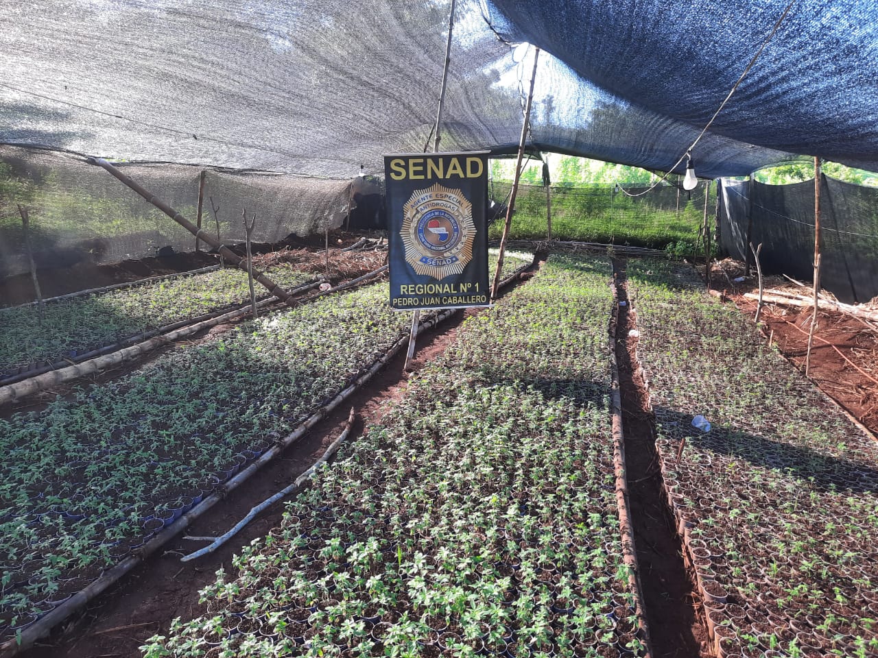 La base de producción encontrada en el lugar.