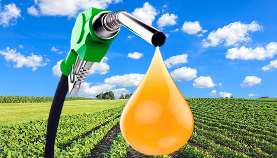 La Nación / Reemplazar diésel por biodiesel: deben crearse más incentivos y  convertir el transporte público