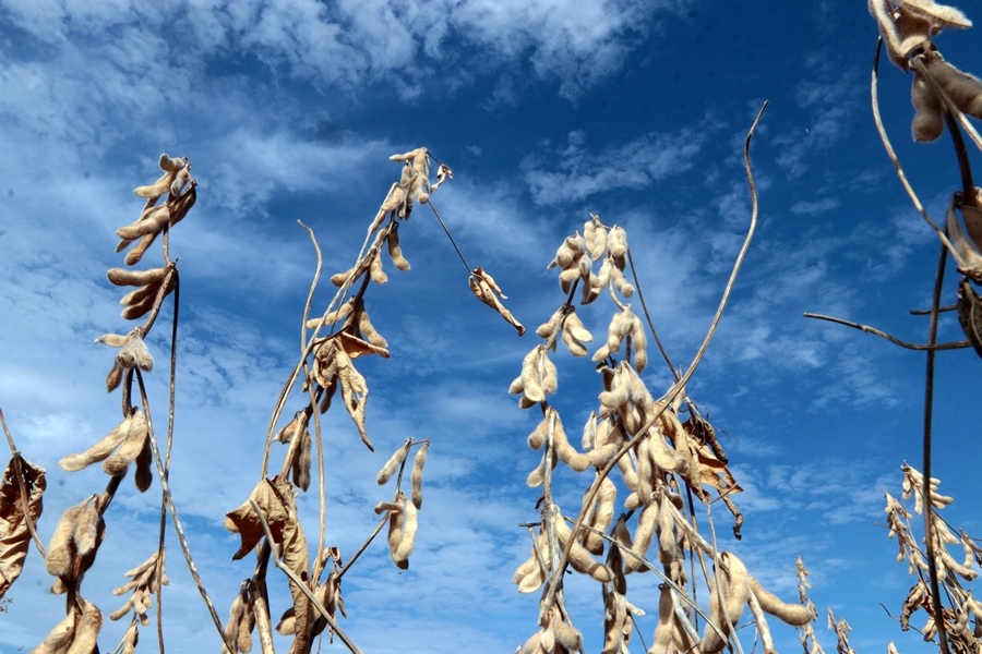 Sale El Niño, entra la Niña para azotar a cultivos, comercio, navegación y electricidad