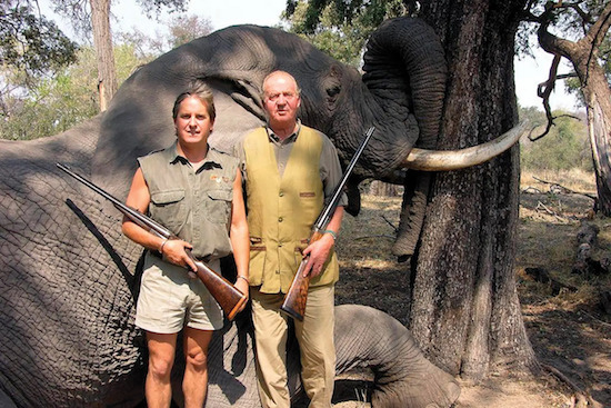 La “cacería de elefantes en Botswana” que causó un escándalo mundial. Corinna fue la que le “organizó el viaje” como regalo a Juan Carlos y además, éste de fracturó la cadera … Después de eso, el diluvio.
