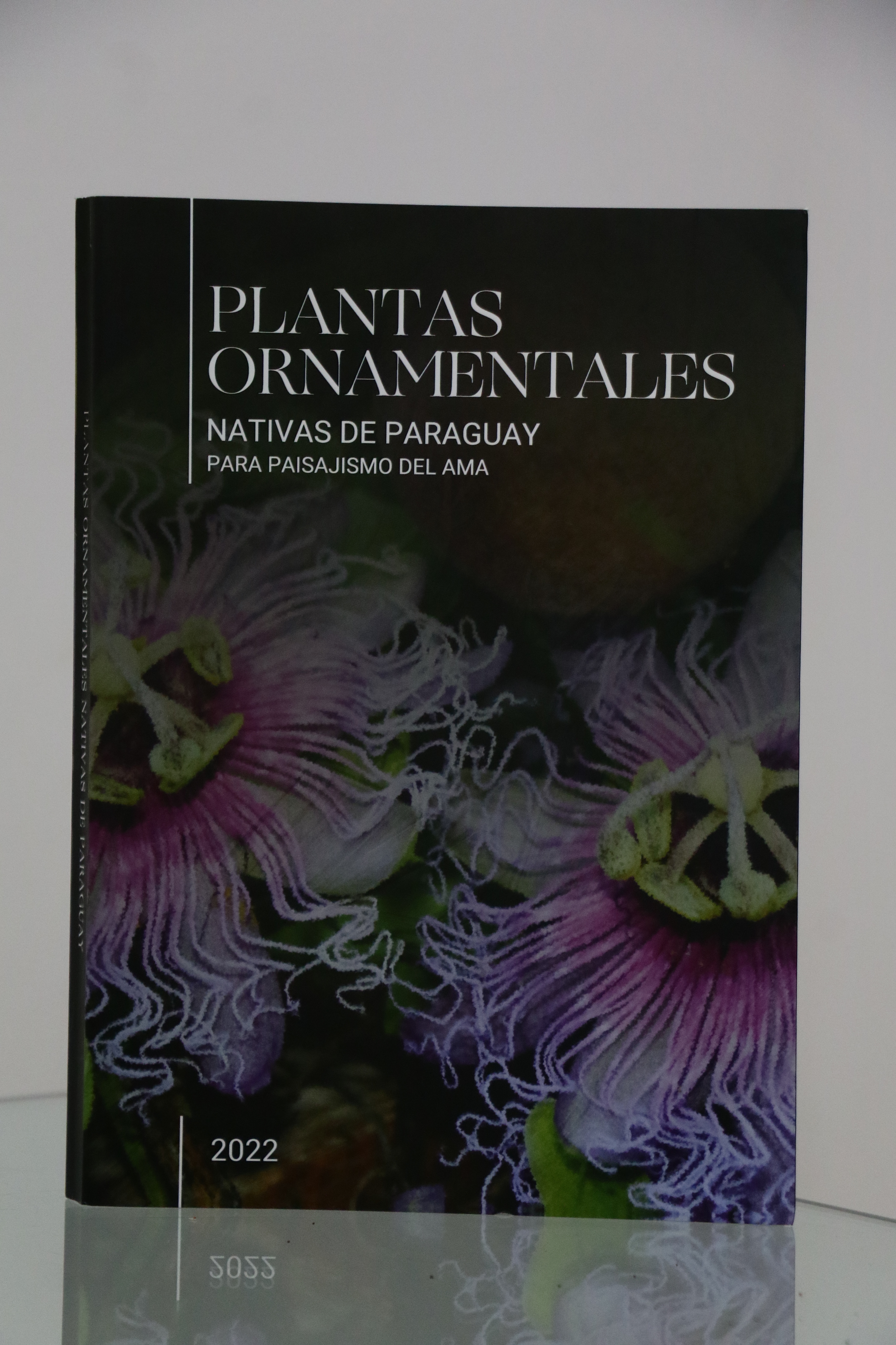 La Nación / Plantas ornamentales nativas: belleza autóctona para nuestro  jardines