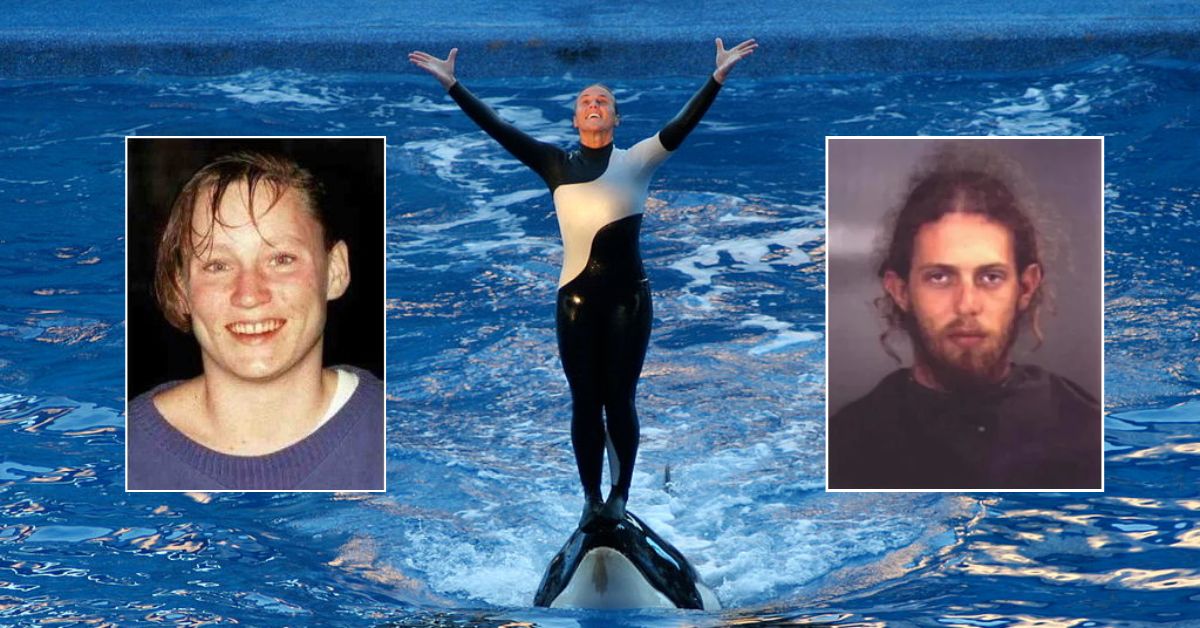 Orca que mató a Dawn Brancheau ya había cobrado la vida de otras dos  personas: Keltie y Dukes - La Razón de México