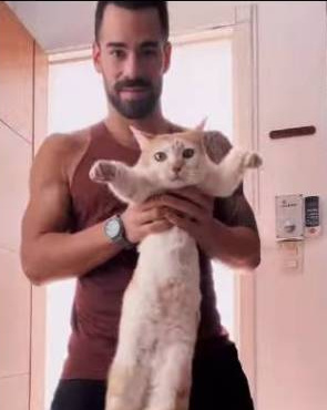 Renato Porno y Pimento. (Captura de pantalla)