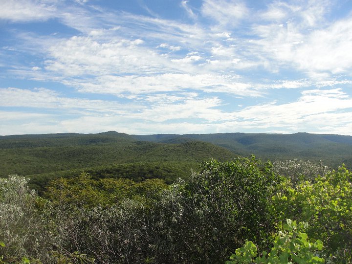 El Cerro León es una formación natural que se encuentra dentro delParque Nacional Defensores del Chaco.Es una serranía de más de 120 cerros, destacando dos que superan los 600 metros de altura