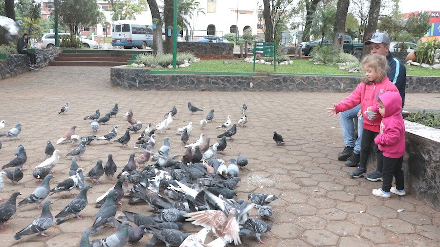 Los otros niños le dan de comer desde lejitos nomás ra’e.