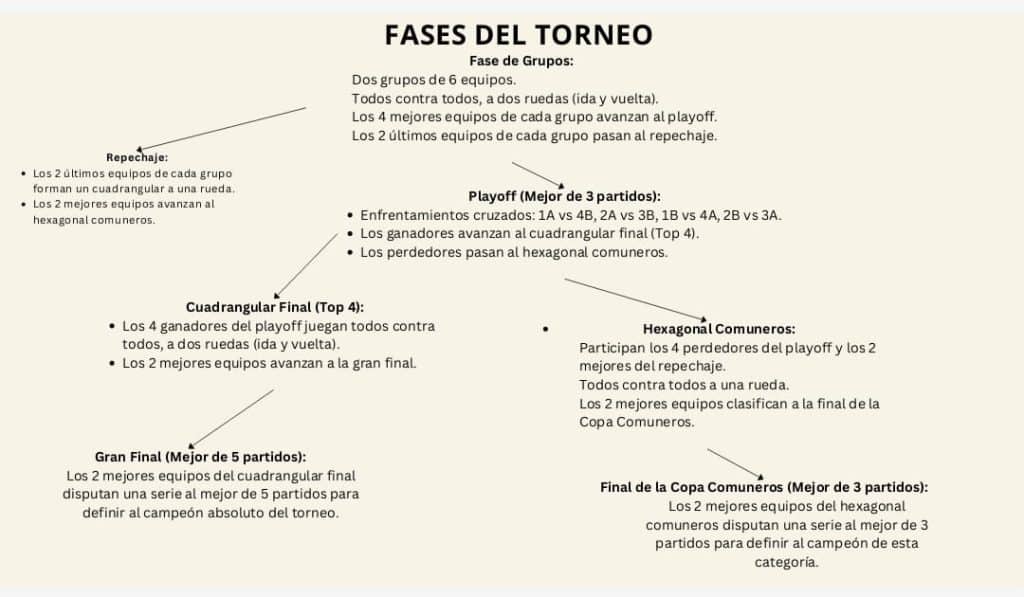 Organigrama de lo que serán las competencias de Primer División 2025.