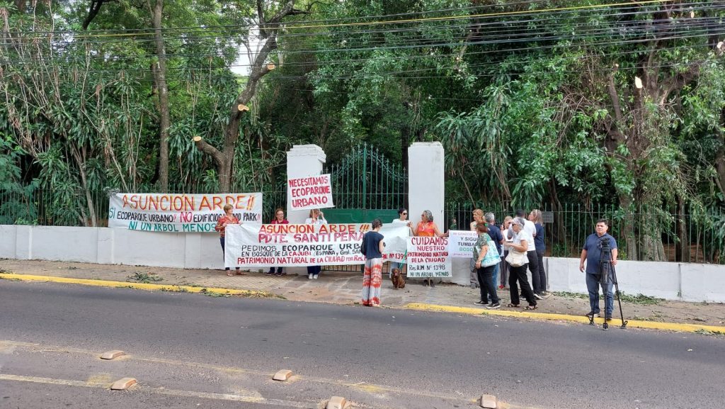 La panorámica muestra partes del sitio con árboles mutilados.