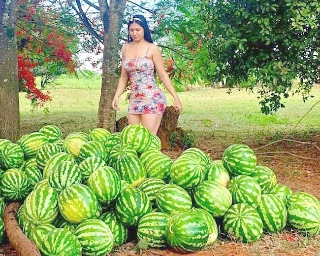 Esta es otra fotografía de la compradora hot en el puesto de ventas.