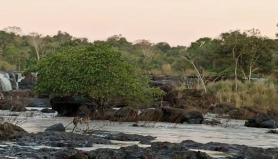 Ese es el árbol al cual lograron trepar para salvar sus vidas, tanto el chico como el mayor. (Foto: Caputra de video/LaClave)