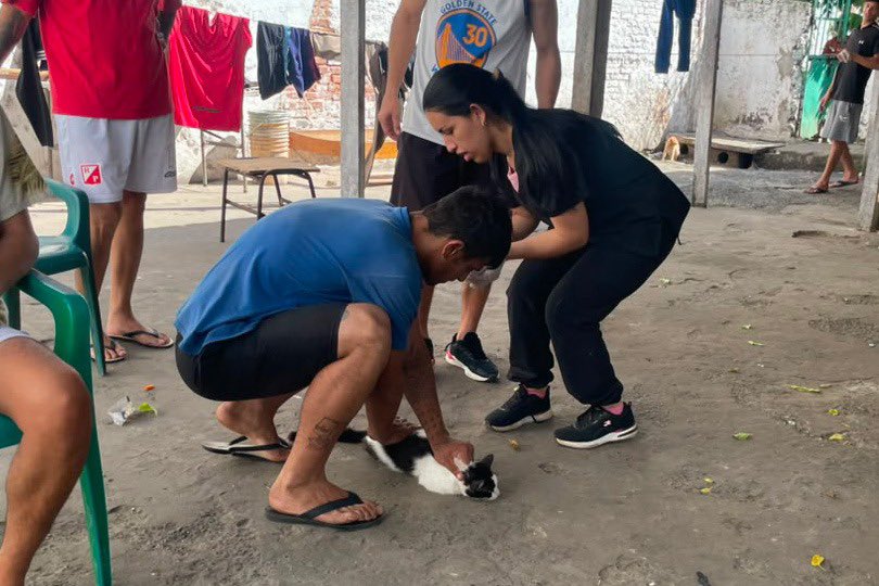 Decenas de gatos viven con los PPL-Foto Ministerio de Justicia