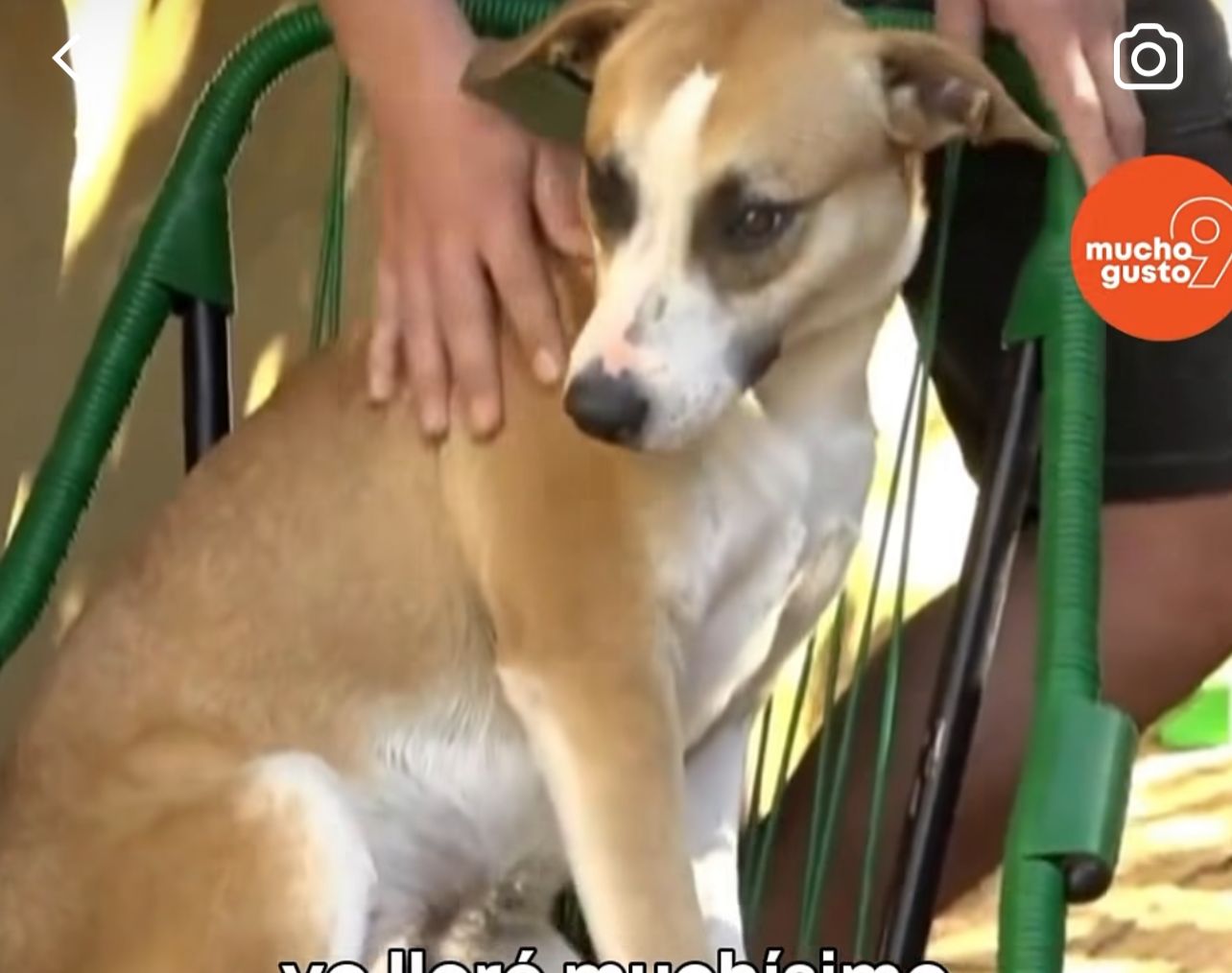 Dexter es muy querido por su familia. Foto: Captura de video