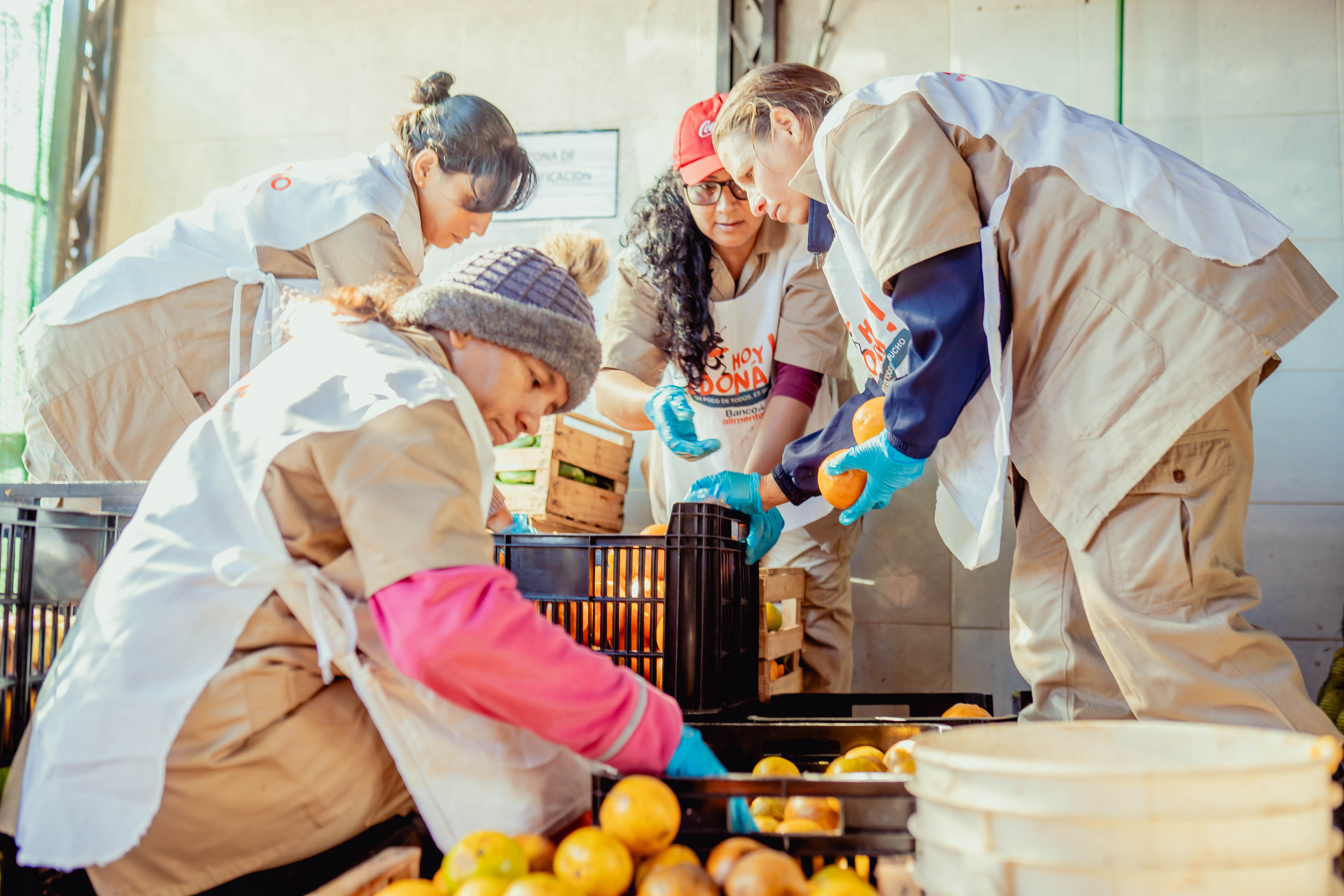 Voluntarios en acción asegurando que ninguna fruta se pierda y llegue a una mesa.