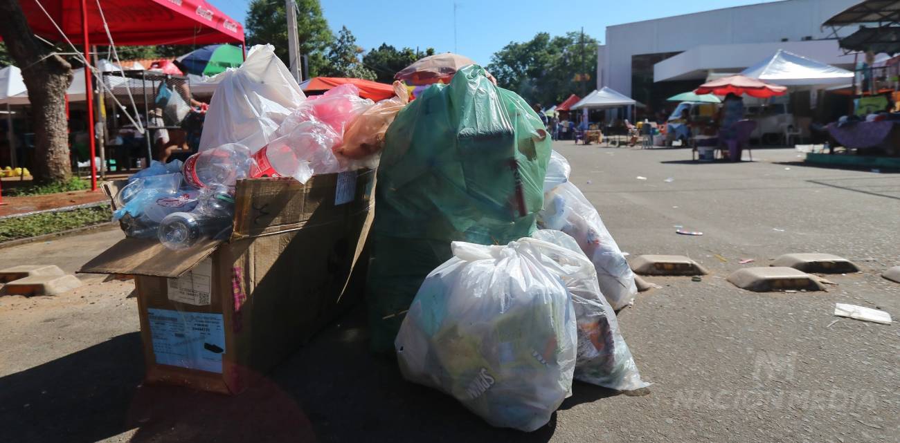 Nada menos que 100 mil toneladas de basura fueron recogidas. Foto: Christian Meza.