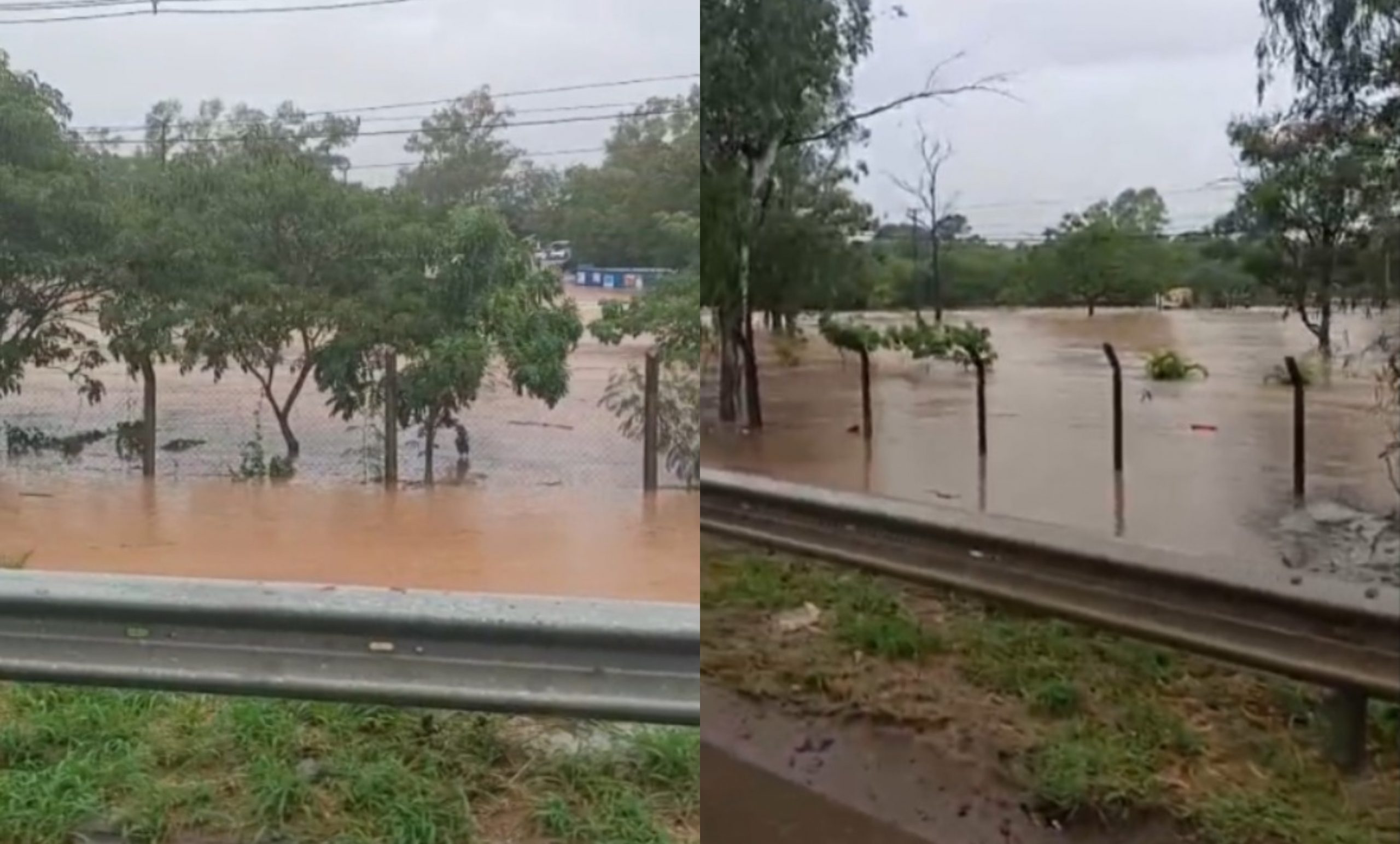 Parques Ñu Guasu y Guasu Metropolitano permanecerán cerrados. Foto: Captura de video