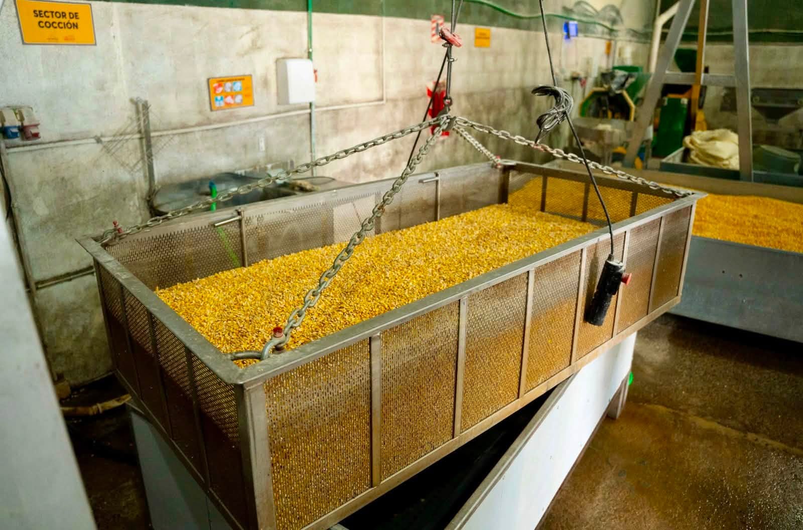 Este tanque de inmersión permite lavar y procesar toneladas de maíz de manera ágil y eficiente, un paso fundamental para sostener la nueva capacidad de la empresa de 10.000 kilos diarios.