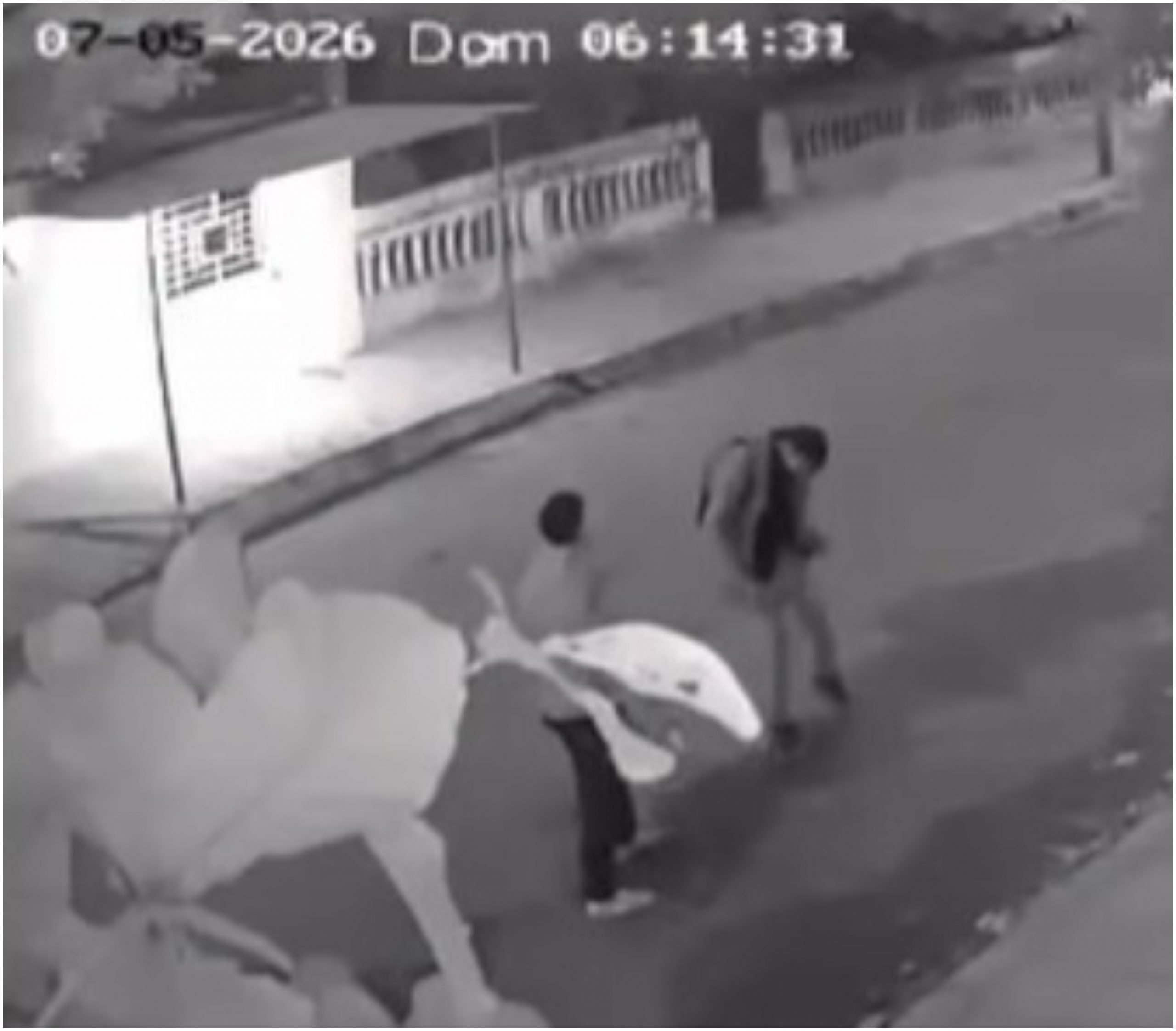 Un detenido por crimen de hombre en Asunción. Foto: Captura de video