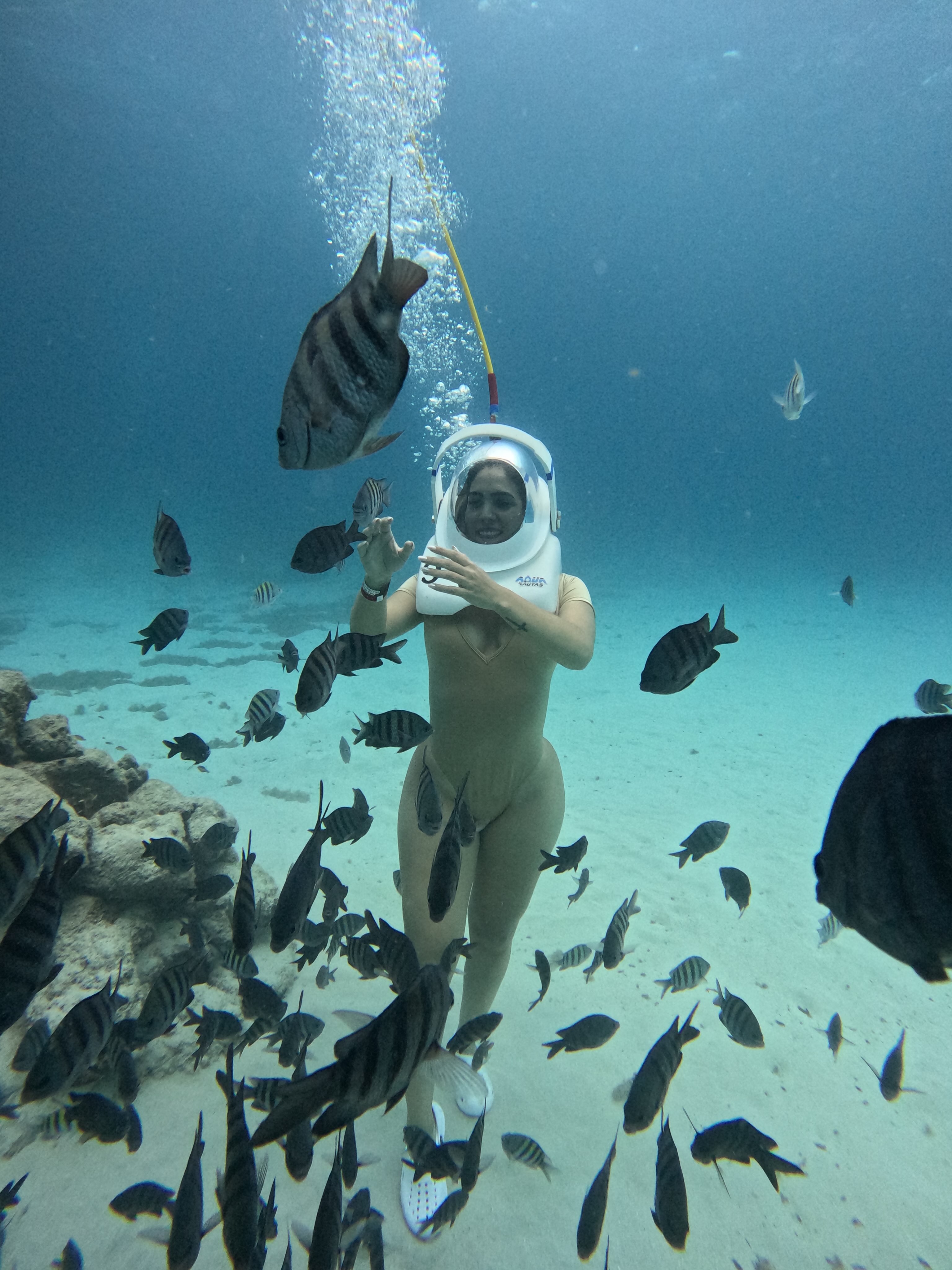 Aquanauta es una de las aventuras a las que se sumó Thalis Solis desde Colombia.